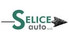 Logo Selice Auto Srl